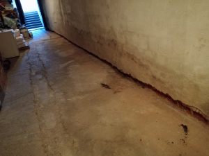 IMG_20171024_084309 (Large)